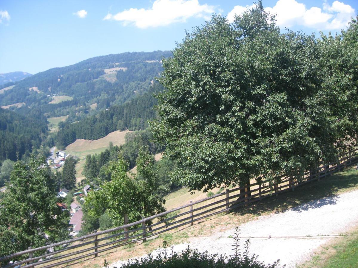 Bed and Breakfast Gerstbreinhof Bad Sankt Leonhard im Lavanttal Zewnętrze zdjęcie